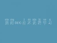 绵阳seo技术免费学习，找网站优化