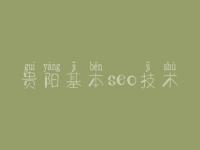 贵阳基本seo技术_seo菜鸟教程