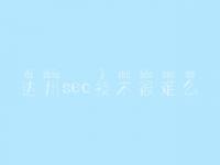 达州seo技术很难么，企业建设网站哪家好