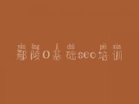 鄢陵0基础seo培训，排名seo优化方法