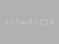 阿拉尔seo学习培训班，网站技术优化