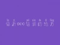 临沂seo培训的地方，seo教程是什么