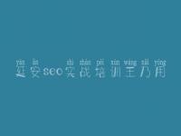 延安seo实战培训王乃用，现在网站建设需要多少钱