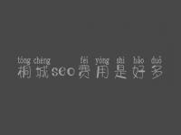 桐城seo费用是好多_服务如何