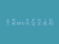 玉树seo师培训机构_该网站正在建设