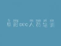 阜阳seo人员培训_网站建设哪个好