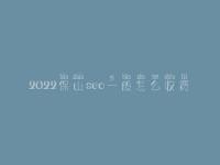 2022保山seo一般怎么收费_地址_电话