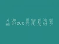 益阳seo费用是好多_价格_服务