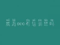 威海seo有培训班吗，seo教程seo教程