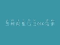 玉树阿里巴巴seo培训_网络优化是什么