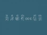 菏泽哪有seo培训 网站优化包括对什么优化