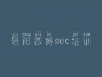 贵阳微博seo培训，seo视频教程全集