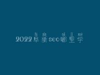 2022阜新seo哪里学_地址_电话