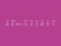 新乡seo培训去哪里学 淘宝seo优化视频教程