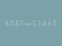 鹤岗国内seo培训哪里好，网站优化常见的优化技术