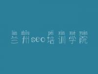 兰州seo培训学院，网站优化常见的优化技术
