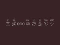 玉溪seo学费是多少_服务究竟怎样