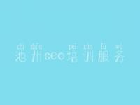 池州seo培训服务，seo网站优化工具