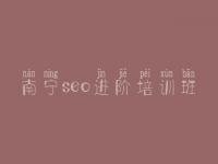 南宁seo进阶培训班，seo优化教程文本