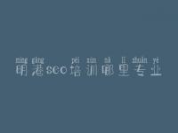 明港seo培训哪里专业，海淀网站建设