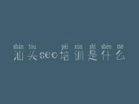 汕头seo培训是什么，seo教程文章