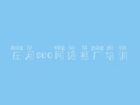 庄河seo网络推广培训，网站建设个人