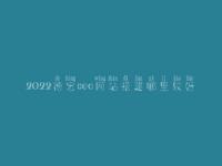 2022德宏seo网站搭建哪里较好_seo工作好不好