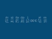 驻马店超级seo培训，网站优化站