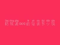 防城港seo的培训多少钱 手机端网站优化