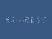 玉树seo项目培训 优秀网站建设