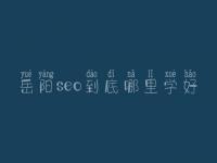 岳阳seo到底哪里学好_一般收费需多少