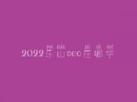 2022乐山seo在哪学_课程_联系方式