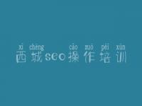 西城seo操作培训，网站优化开发