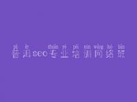 普洱seo专业培训网络班，排名优化教程