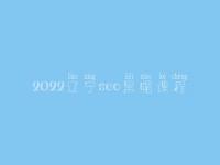 2022辽宁seo黑帽课程_一流黑帽实战