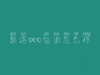 果洛seo培训怎么样_极致seo顾问