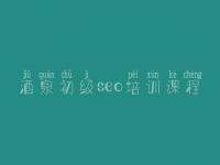 酒泉初级seo培训课程 网页建设中