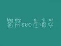 衡阳seo在哪学_培训班_电话