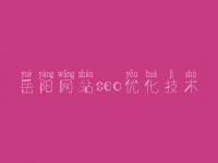 岳阳网站seo优化技术 日本网站优化