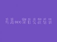 乌海seo项目实战培训 网站建设优化推广