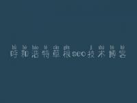 呼和浩特草根seo技术博客_可靠的网站建设