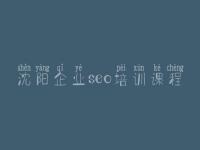 沈阳企业seo培训课程_网站开发建设