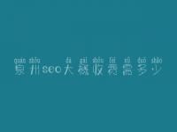 泉州seo大概收费需多少_费用_服务