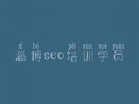 淄博seo培训学员，建设网站价格