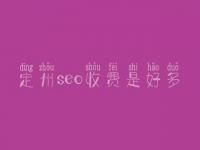 定州seo收费是好多_服务到底如何