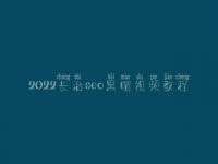 2022长治seo黑帽视频教程_精品黑帽实操