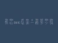 保山seo培训一般多少钱，光年seo教程