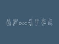 固原seo培训好吗，如何网站建设