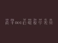 南平seo白帽教学视频_顶级白帽实操