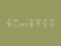 佛山seo新手培训，网站快速建设